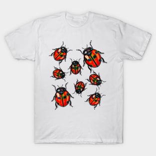 Flying Bug Of The Virgin Mary T-Shirt